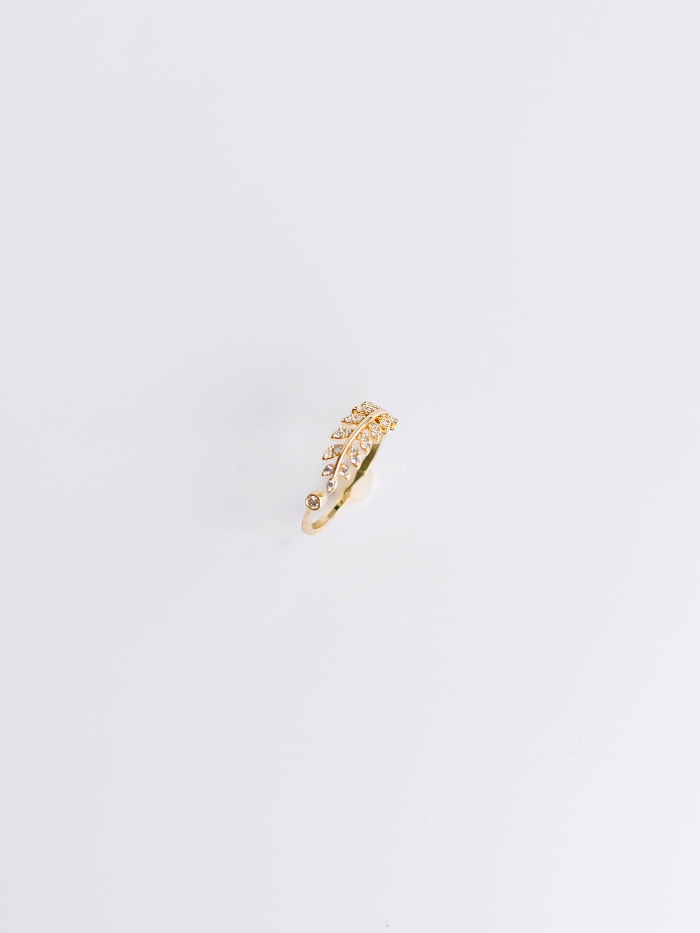 Larissa Ring